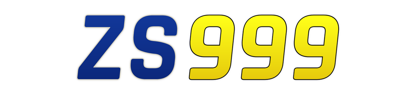 zs999